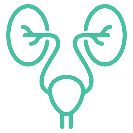urology
