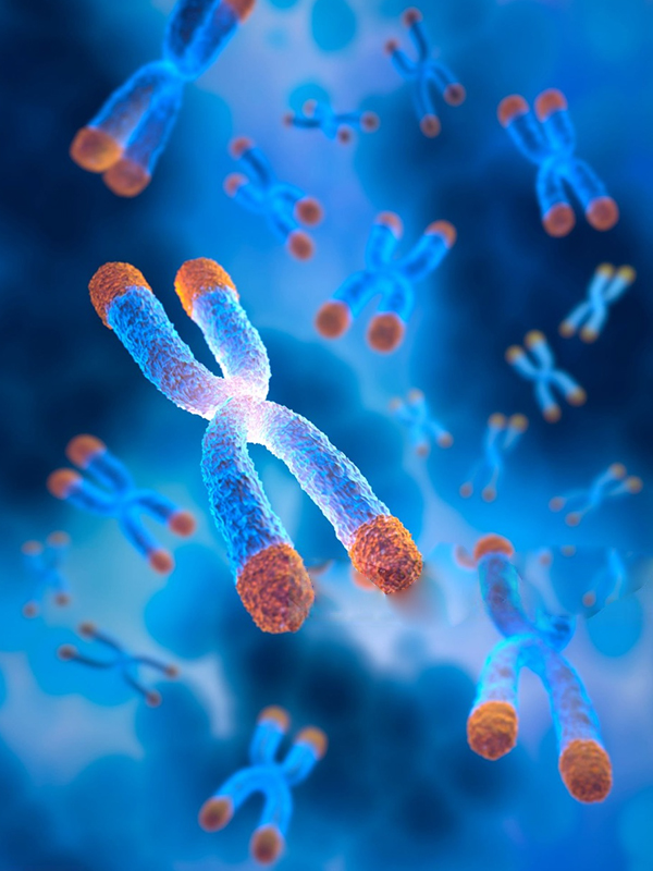 Clinical Trial Services Image